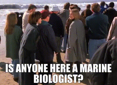 marine biologist.gif