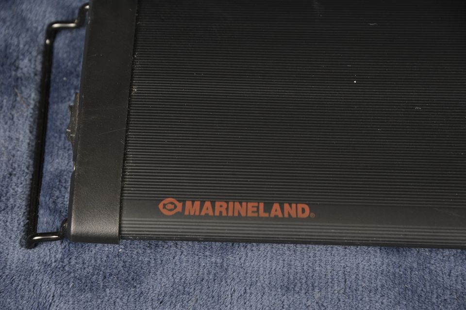 Marineland Light 2.jpg