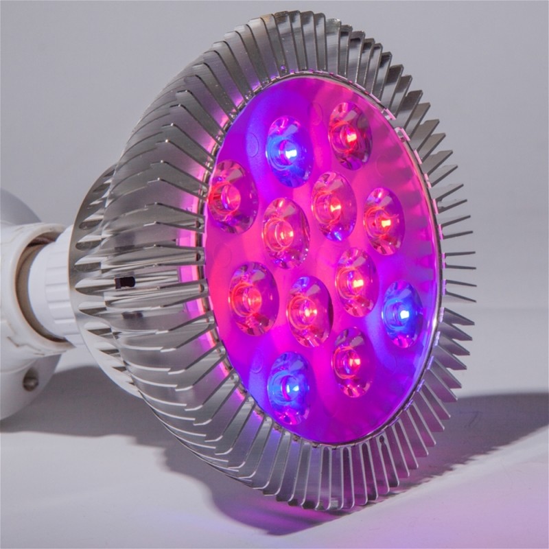 MarsHydro Light.jpg