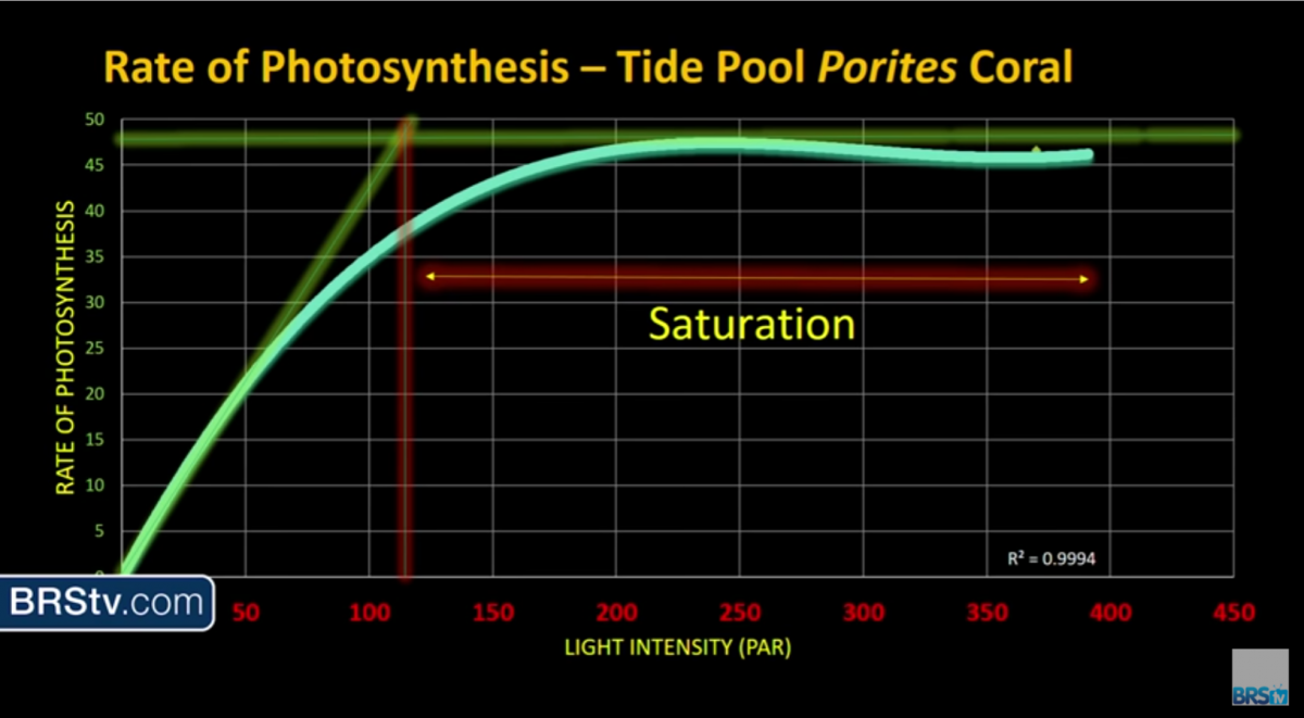 Max Par Rate of Photosynthesis.png