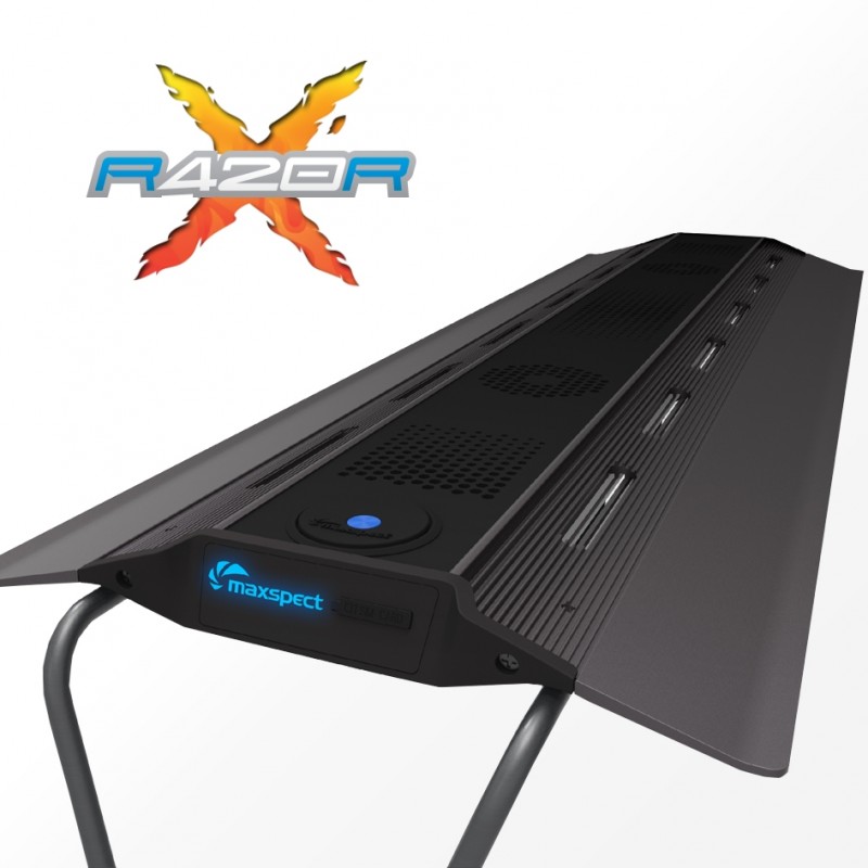 maxspect_rsx_9.jpg