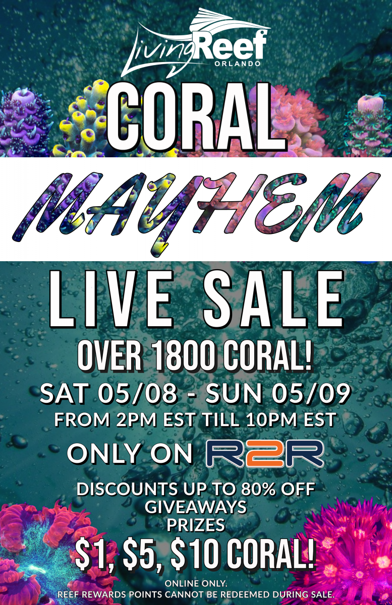 May Live Sale Social Flyer.png