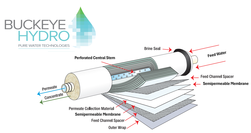 Membrane Blow Up.png