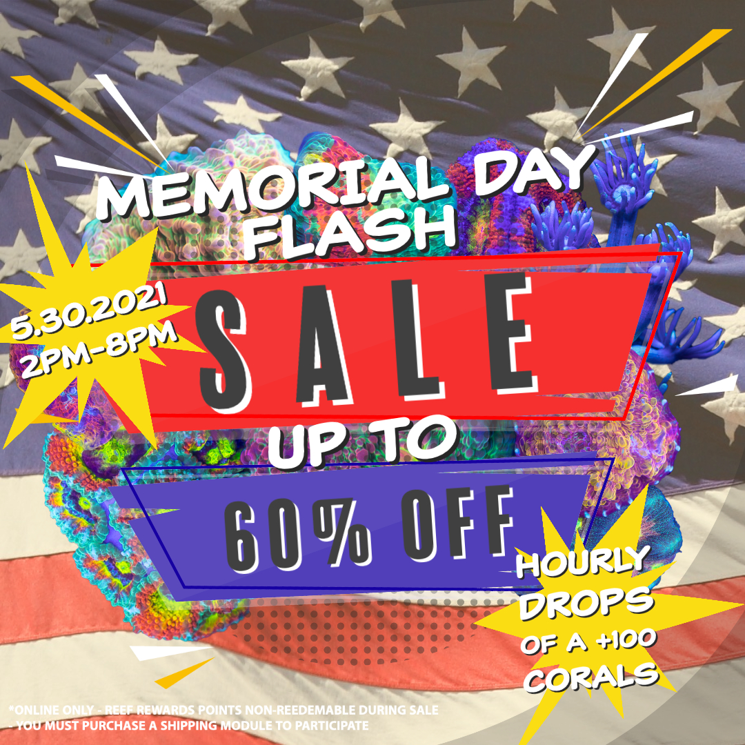 Memorial Day Flash Sale.jpeg