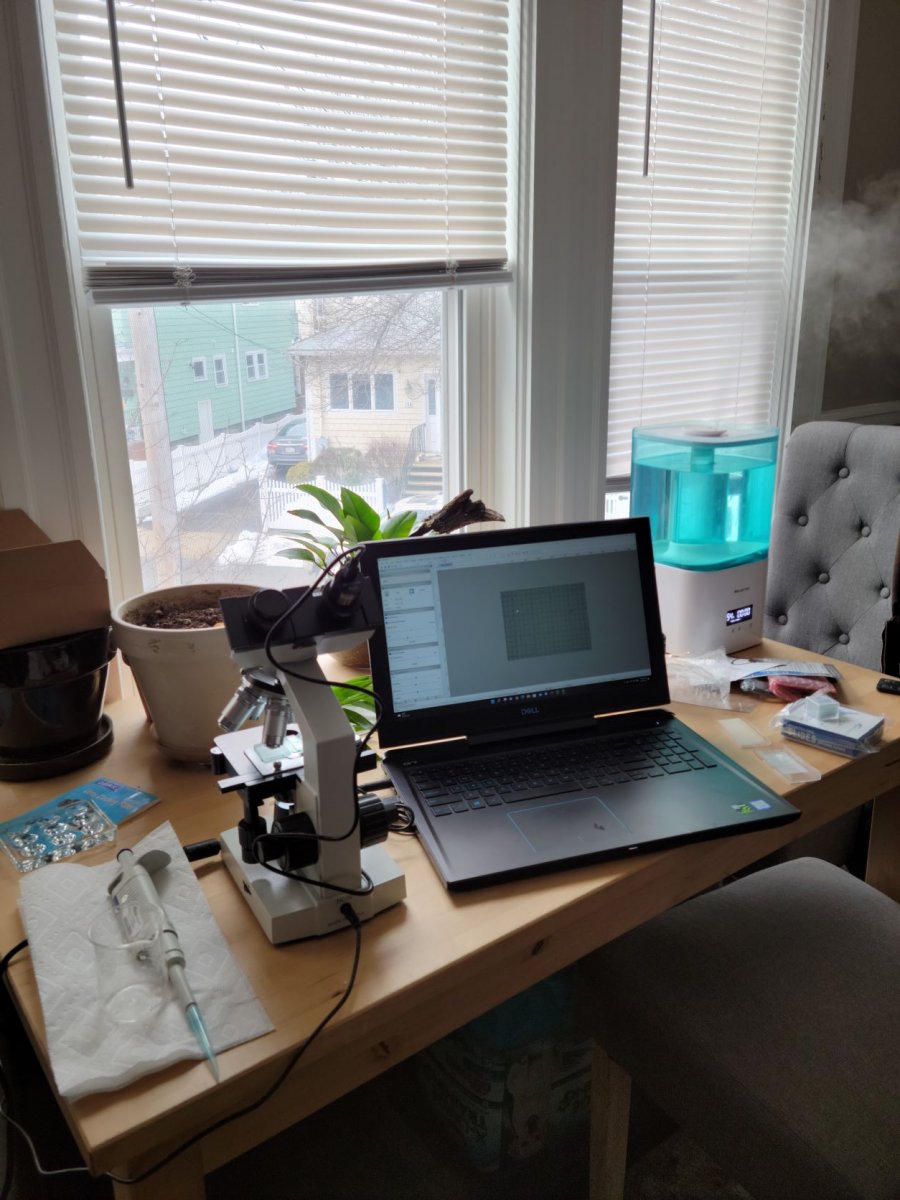 Microscope setup.jpg