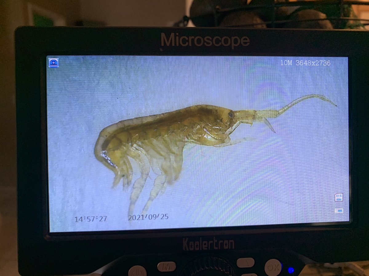 microscope_pod1.JPG
