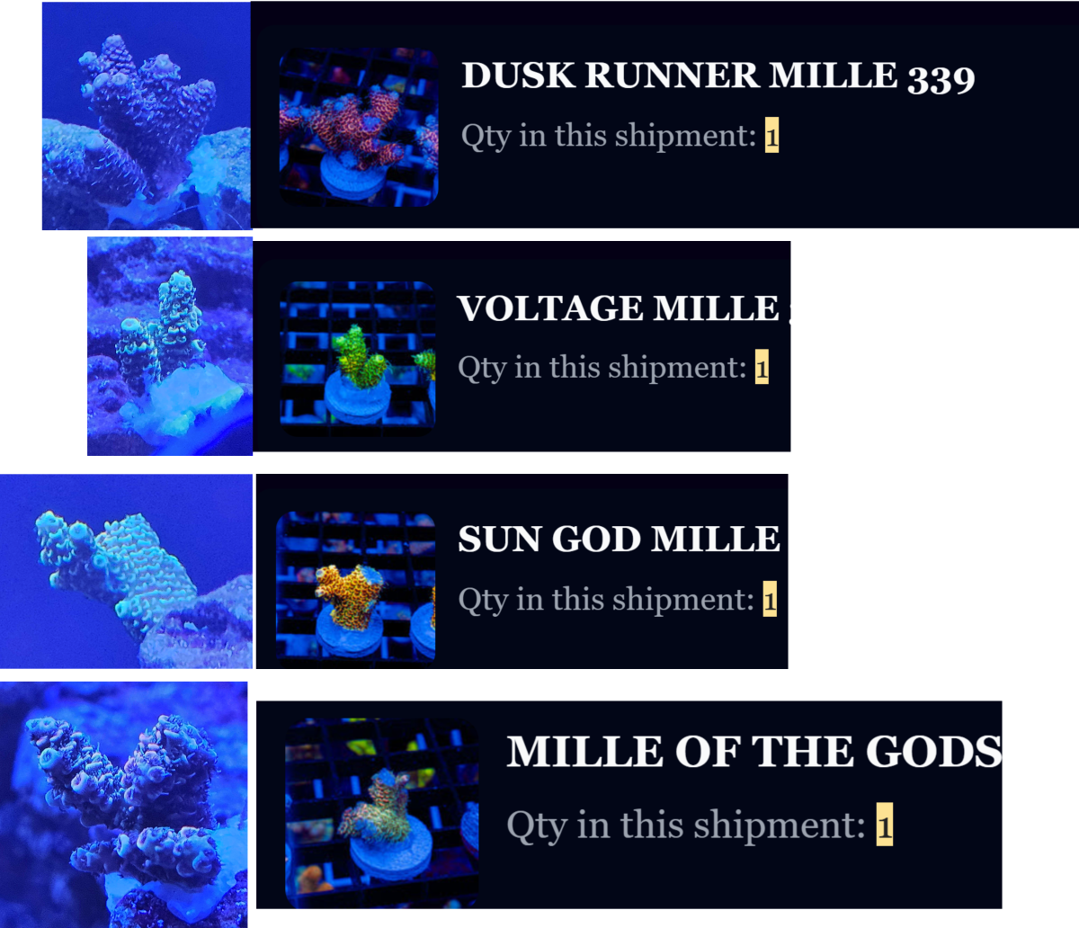 mille comp.png