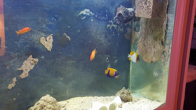 mini-20171203_214051.jpg