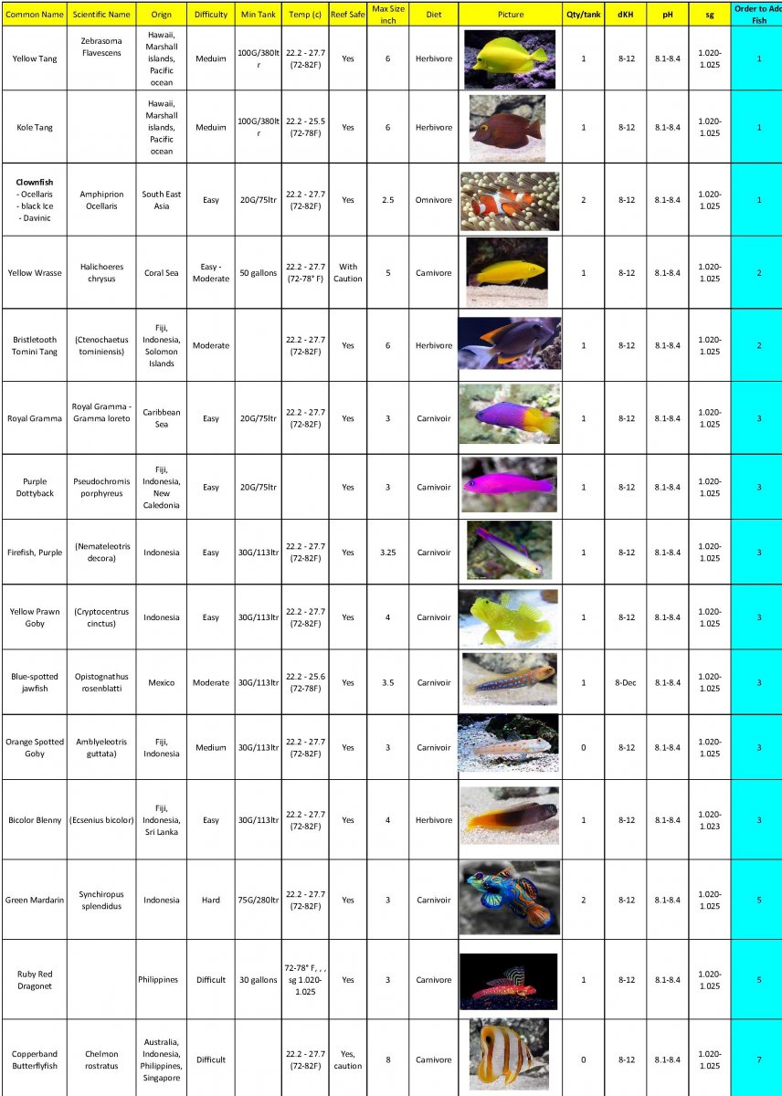 Mini Reef Fish List.jpg