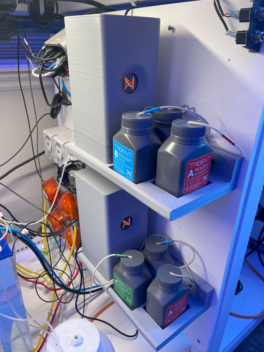 mini_trident_shelf.png