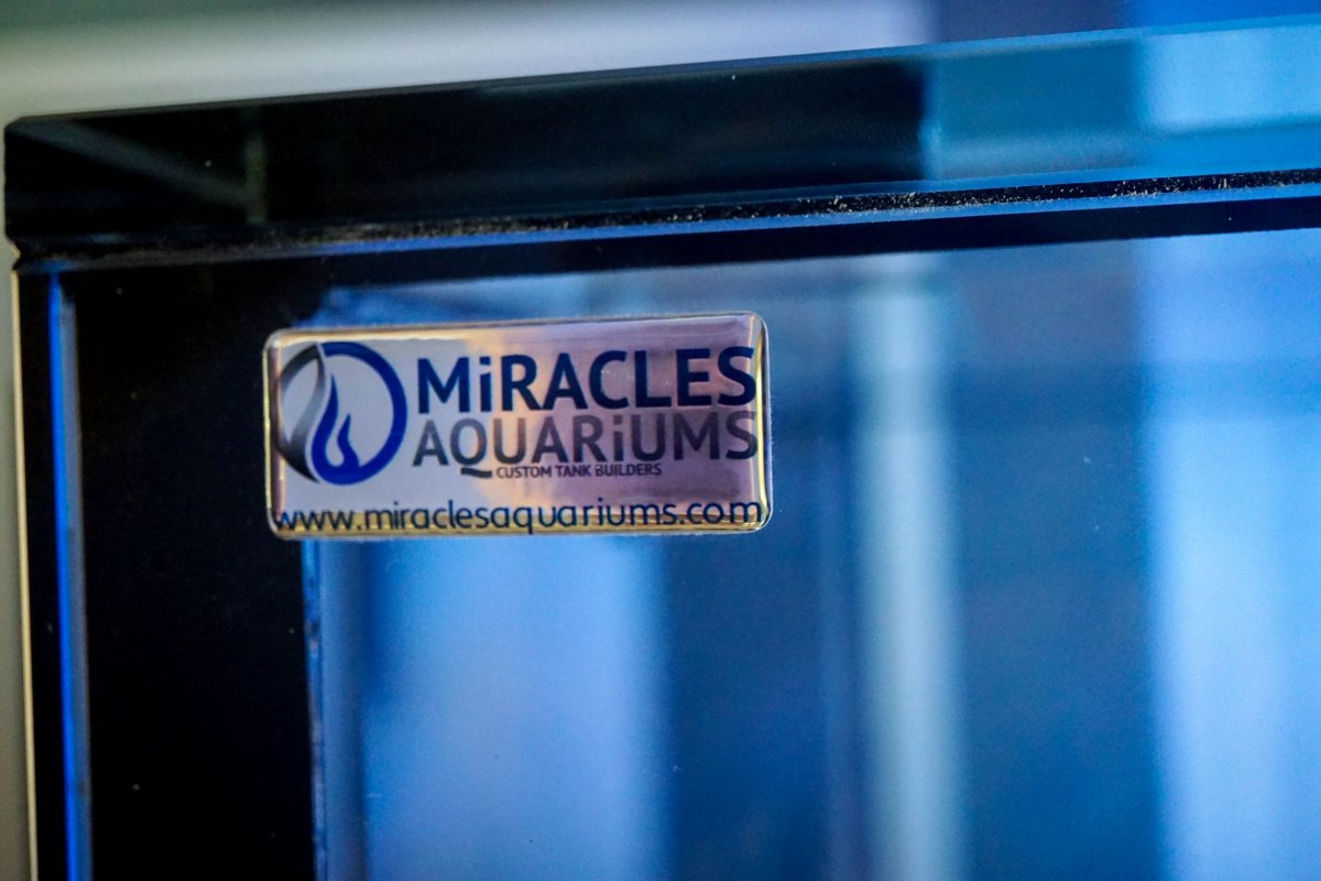 Miracles Aquarium-2.jpg