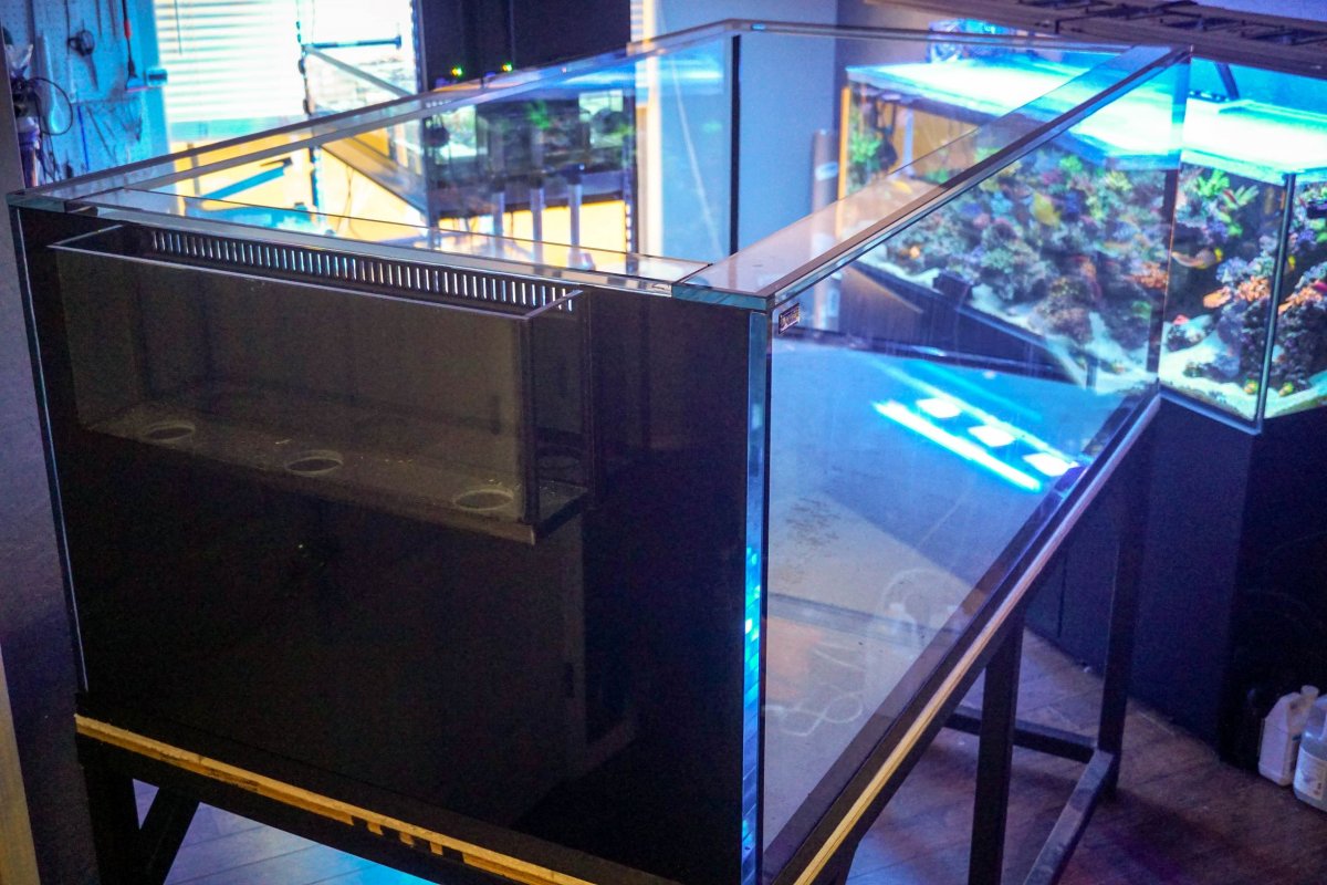 Miracles Aquarium-3.jpg