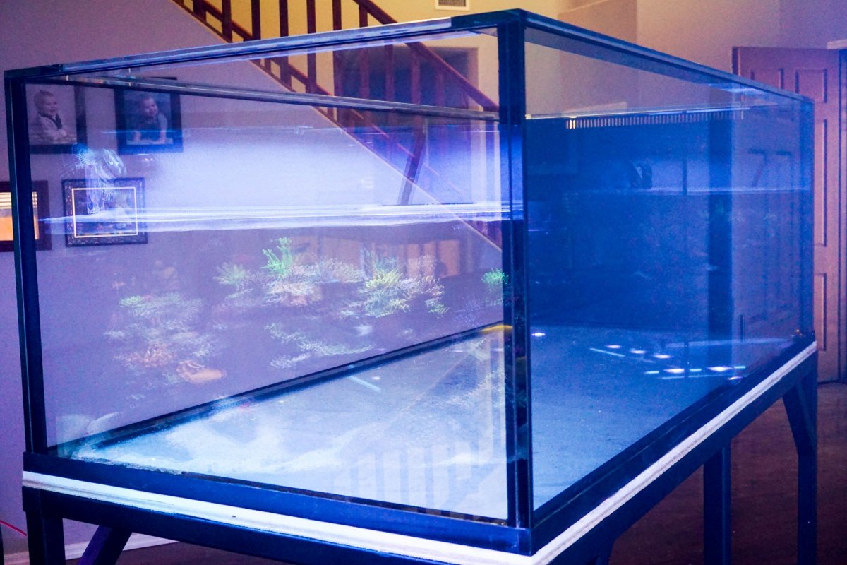 Miracles Aquarium-5.jpg