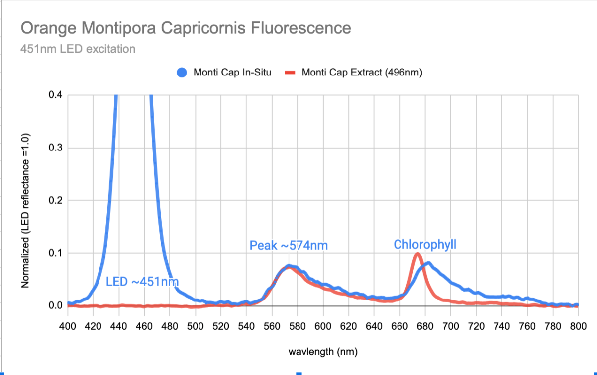 MontiCap_spectrum.png