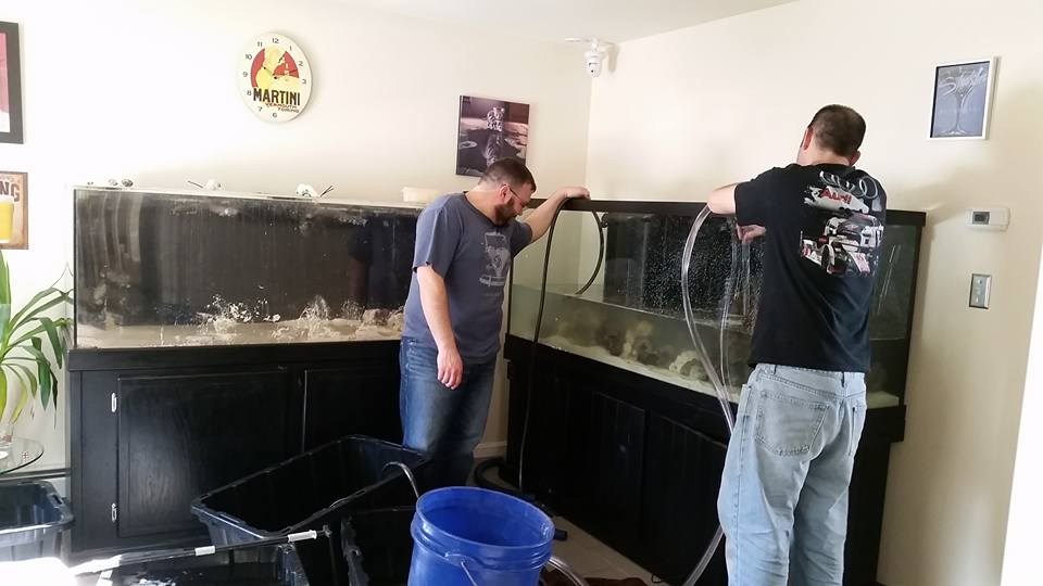 moving fish.jpg