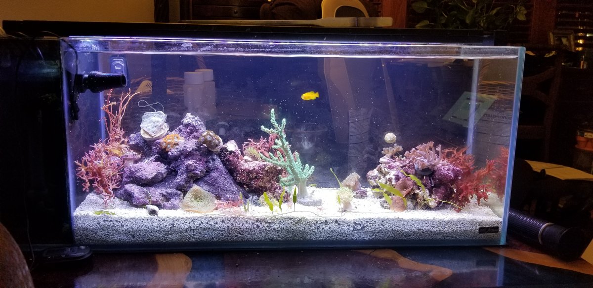 Mr shop aqua tanks