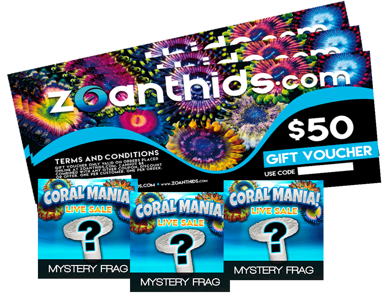 NEXT UP: Mega Coral Auction Winners (and everyone) JOIN US Tomorrow ...