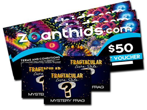Multiple-Prizes.png