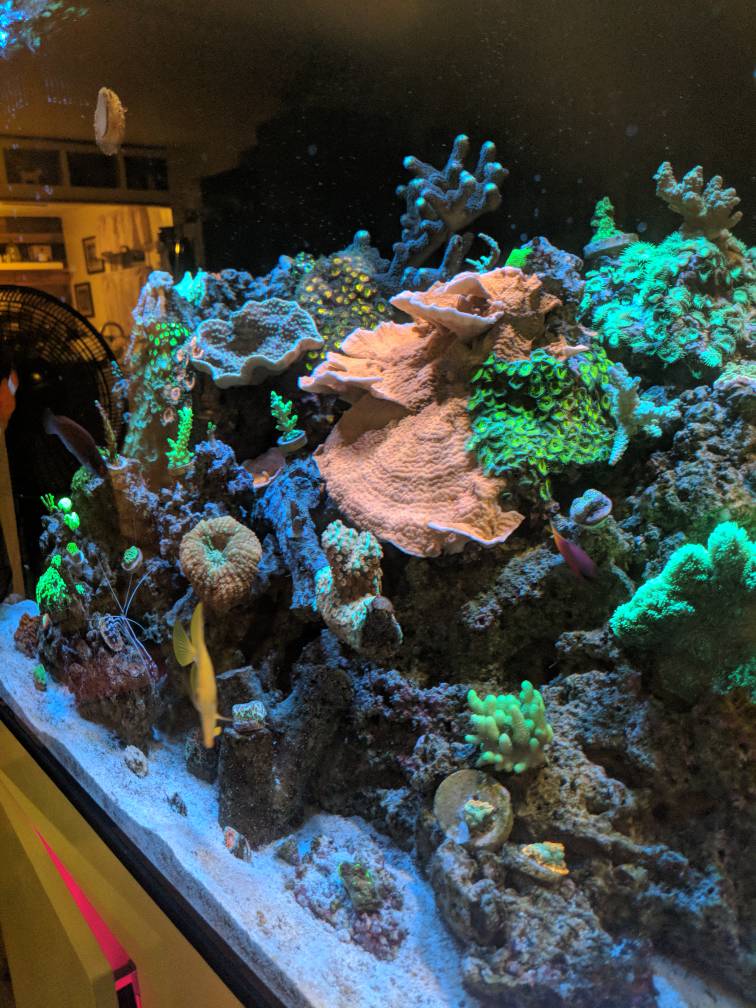MVIMG_20180701_214823.jpeg