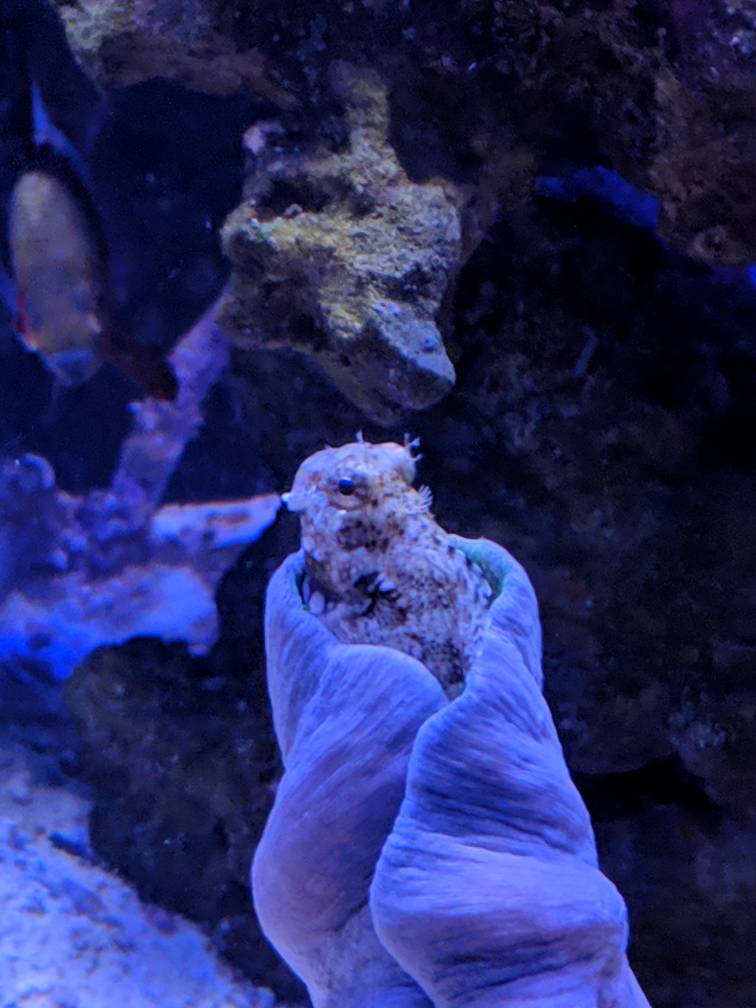 MVIMG_20190224_070326.jpeg