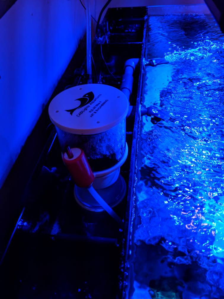 MVIMG_20190326_165526.jpeg