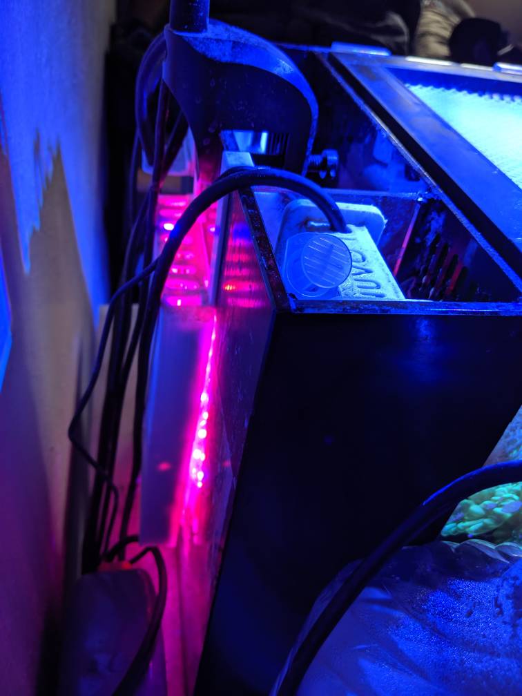 MVIMG_20190528_160949.jpeg