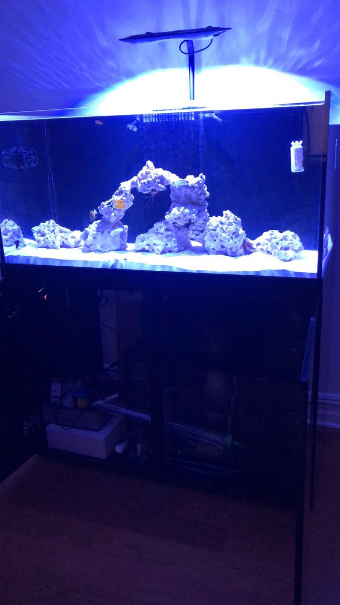 My 150 gallon preclear system.jpeg