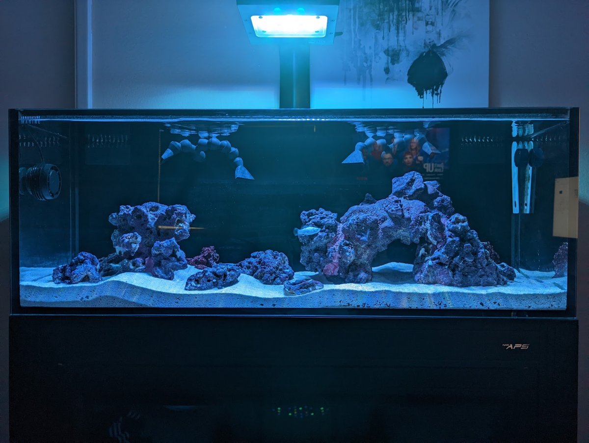My First Fish Tank.jpg