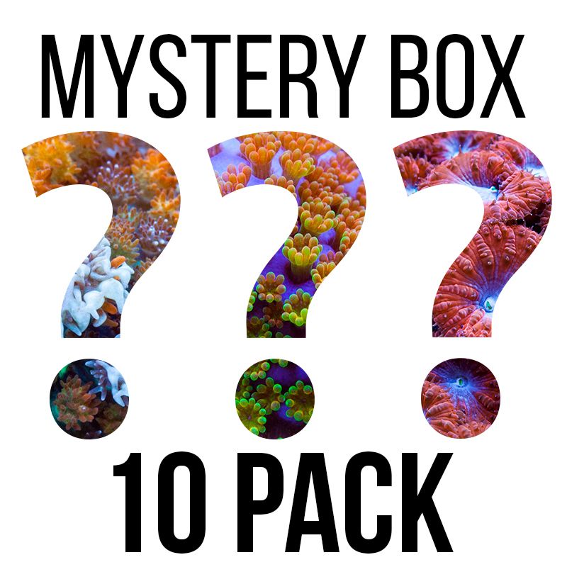 mystery-box (1).jpg