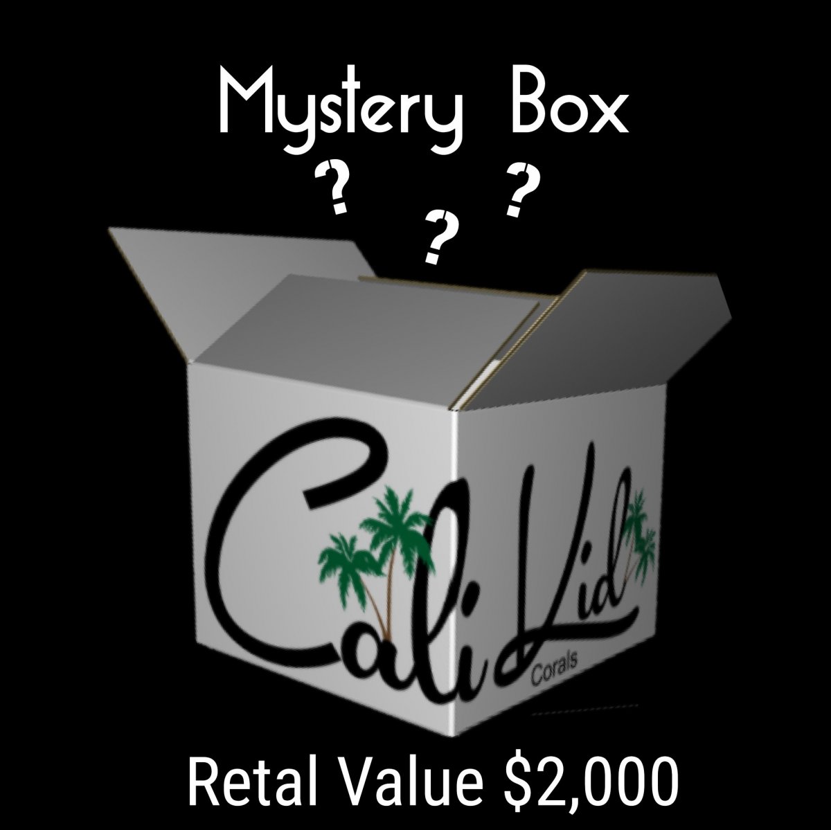 mystery Box.jpg