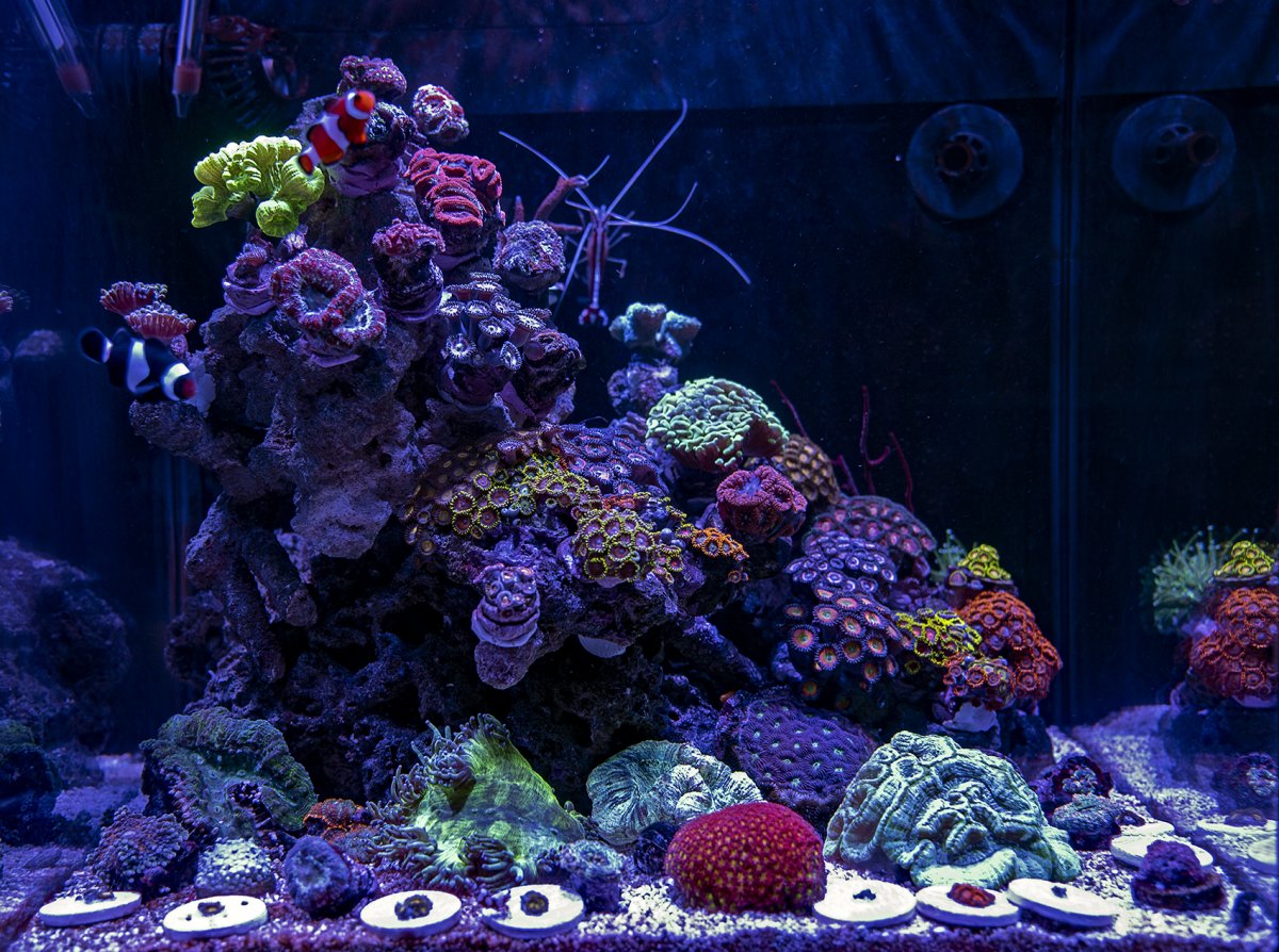 nano.jpg