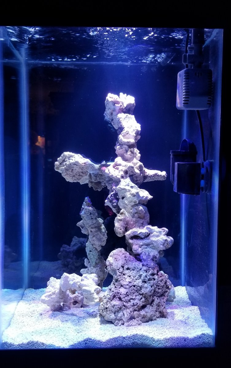 Nano wall side view.jpg