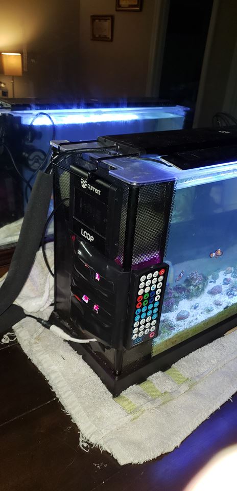 nano1.jpg