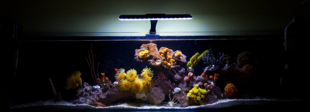 nano11.jpg