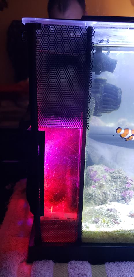 Nano2.jpg