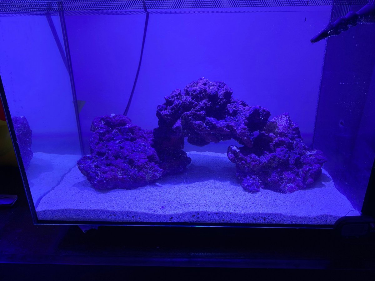 nano99.jpg