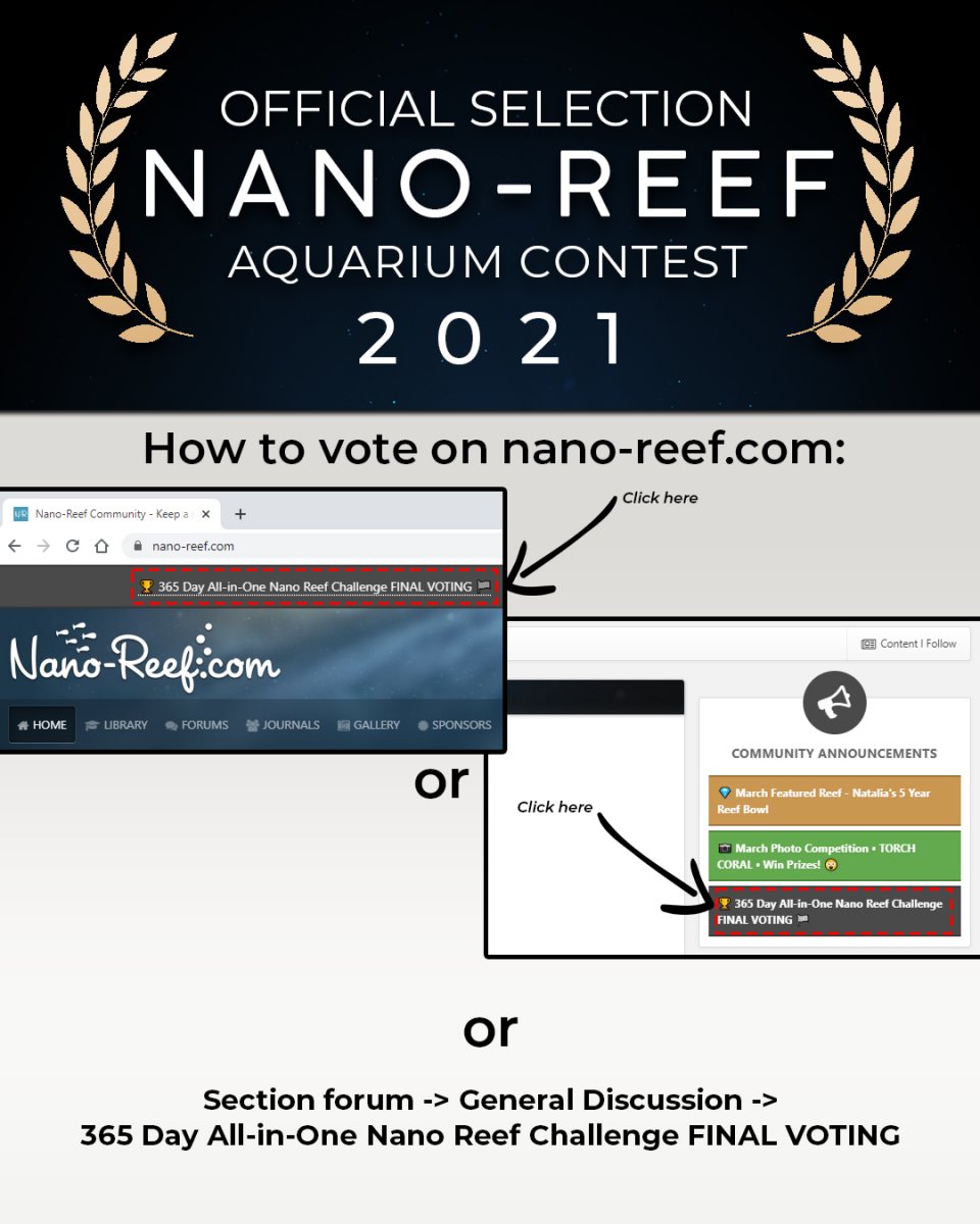 nanoreefcom_VoteInstructions_v02.jpg