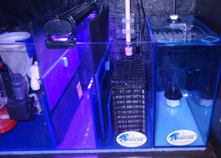 NanoSump.jpg
