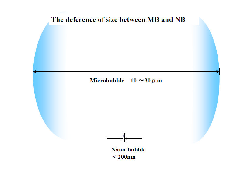 NBsMBs.png