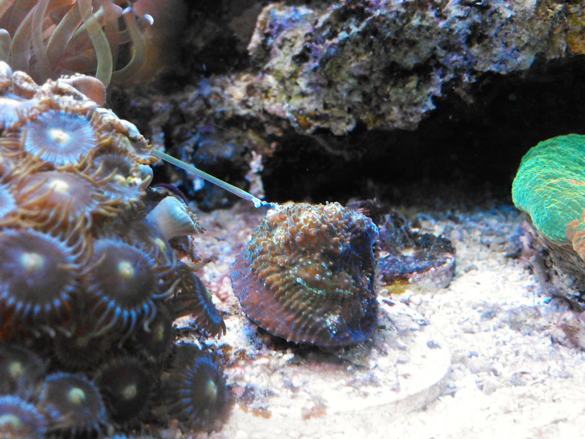 NCM_0188.JPG