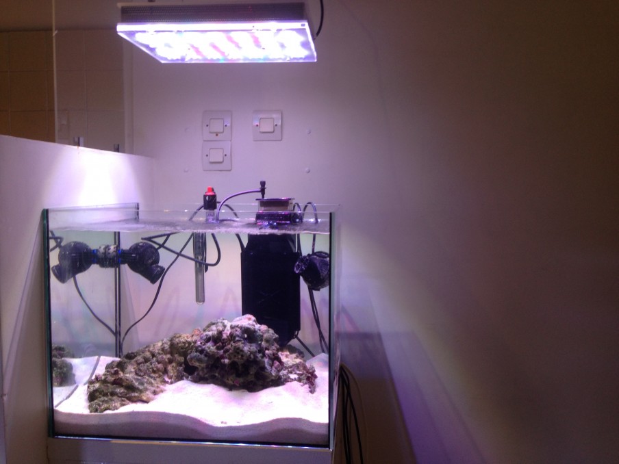 new-aquarium-using-atlantik-compact.jpeg
