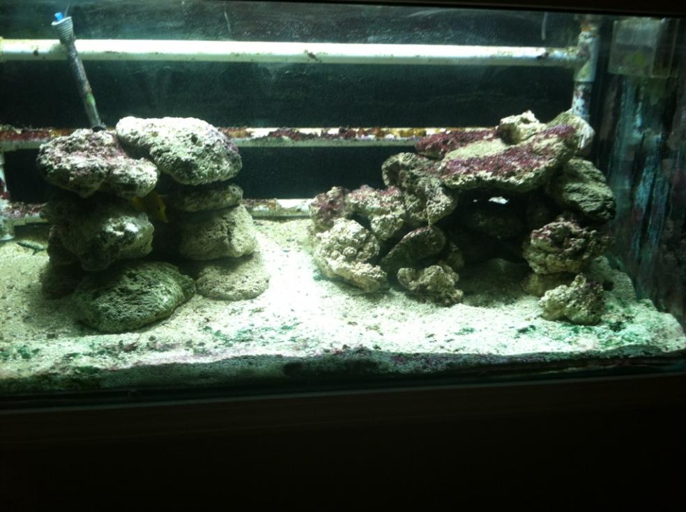 New aquascape.jpg