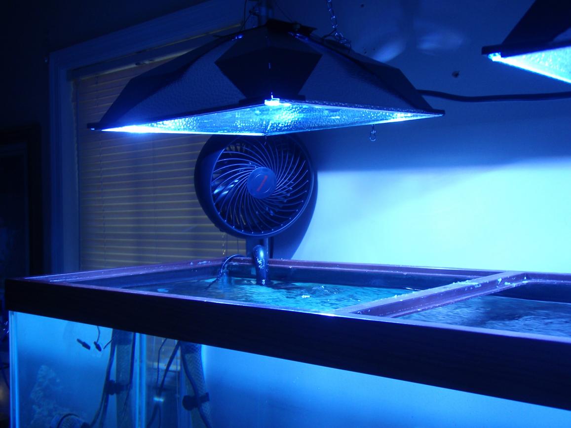 New Fixture 034.jpg