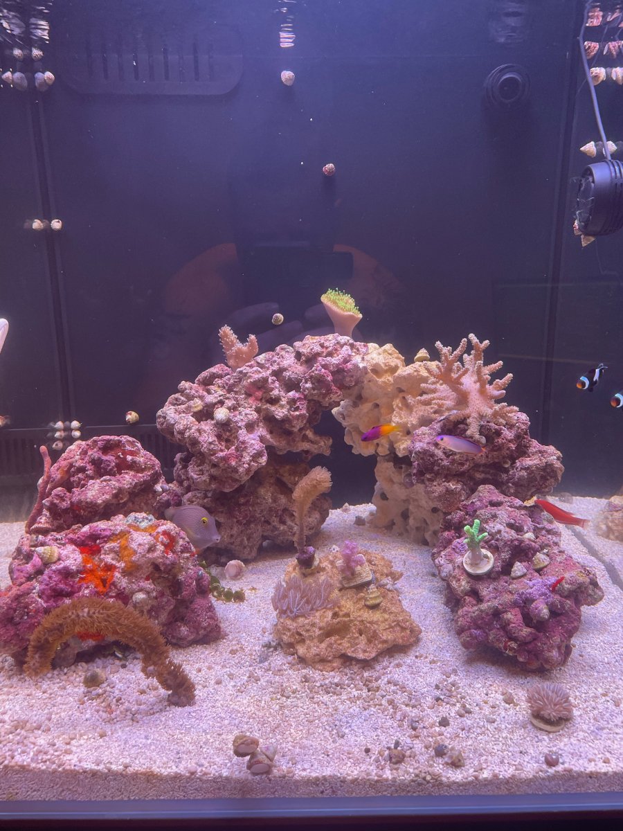 new fts.jpeg