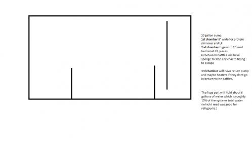 New Sump setup.jpg