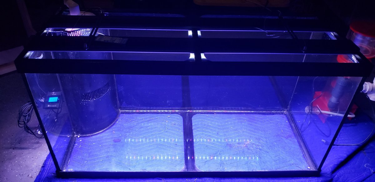 new tank.jpg