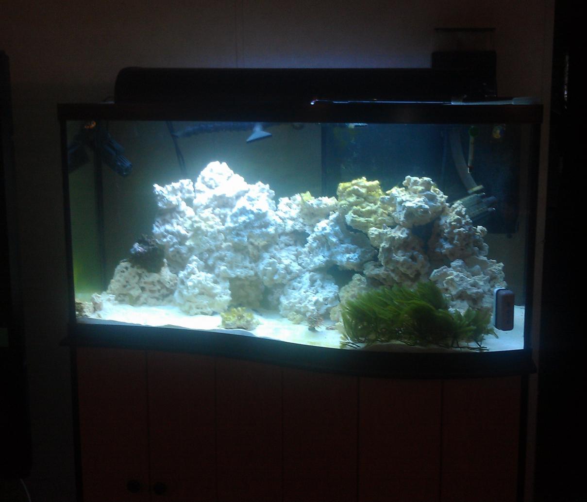 new tank1.jpg
