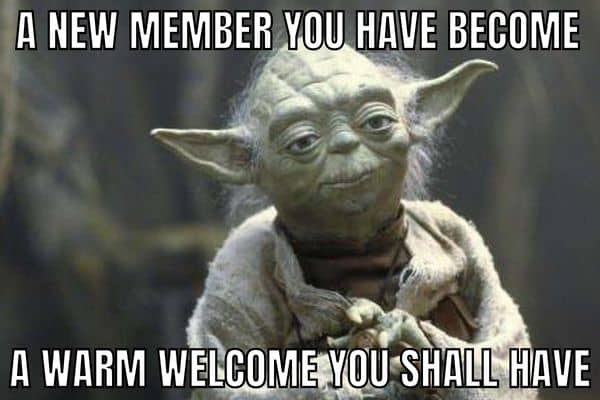 New-Team-Member-Meme-on-Yoda.jpg