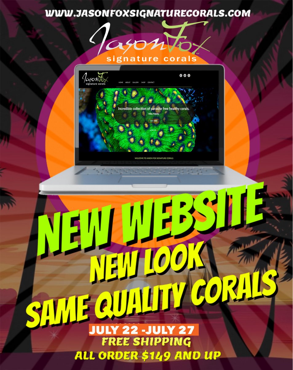 new web.jpg