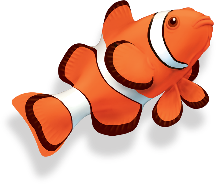 NicePng_clown-fish-png_517626.png